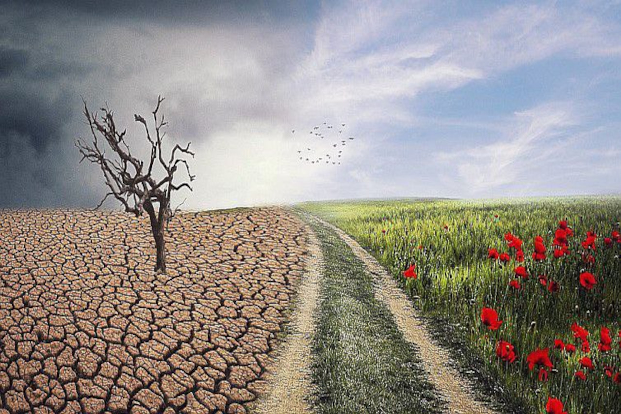 Lee más sobre el artículo La nueva realidad climática: amenaza latente para el sector agrícola