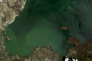 Lee más sobre el artículo ABAE utiliza sistemas de teledetección satelital para la protección de los ecosistemas acuáticos