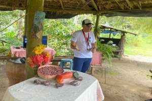 Lee más sobre el artículo Mincyt ofrece taller sobre buenas prácticas para el procesamiento artesanal de cacao