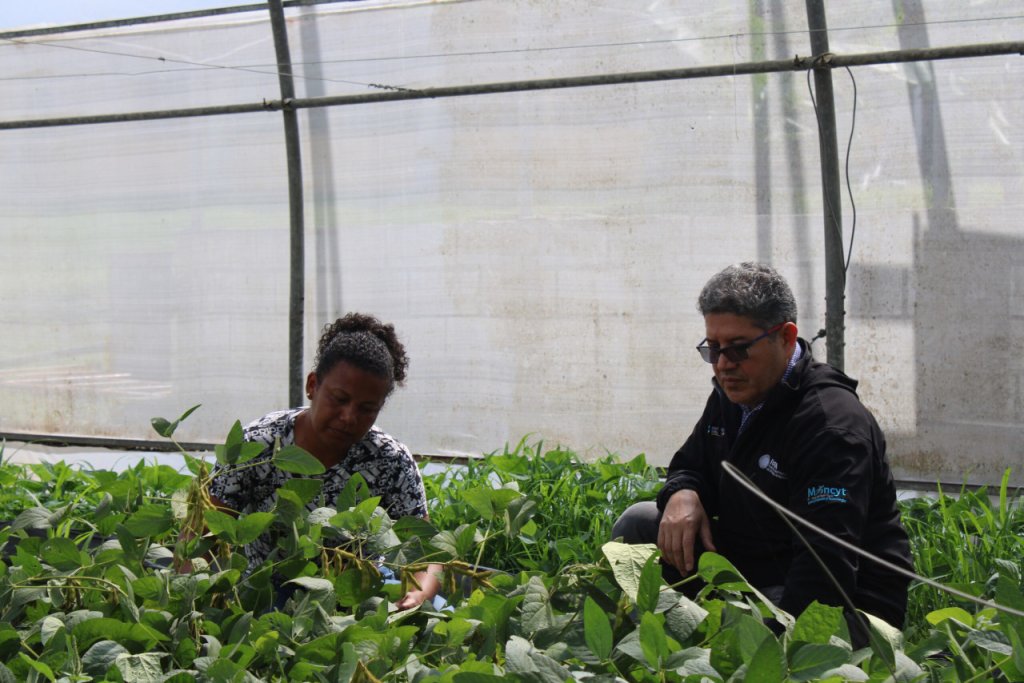 Fundación IDEA desarrolla proyectos de conservación y propagación de recursos fitogenéticos de calidad para agricultores