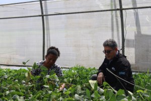 Lee más sobre el artículo Fundación IDEA desarrolla proyectos de conservación y propagación de recursos fitogenéticos de calidad para agricultores