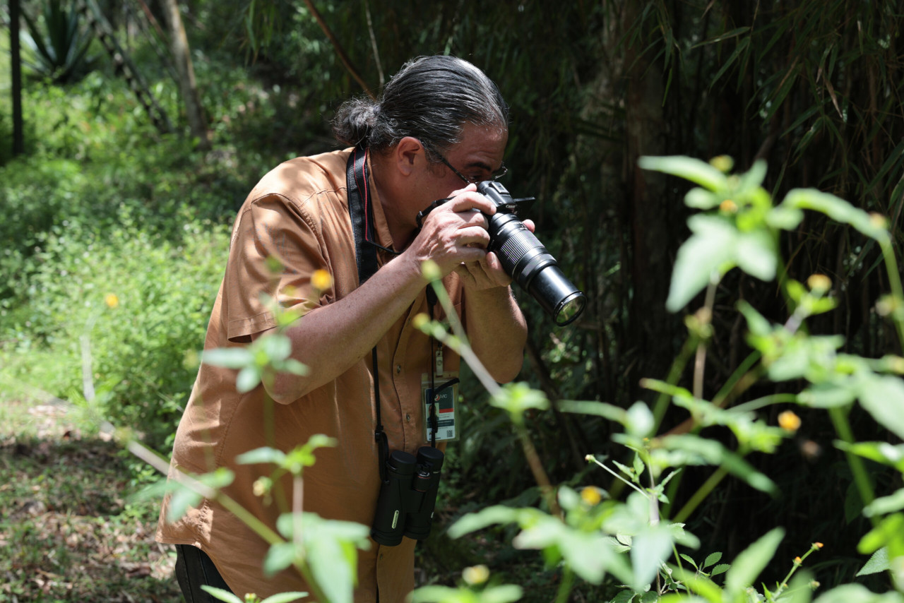 Lee más sobre el artículo Centro de Ecología del IVIC forma científicos ciudadanos para documentar diversidad biológica de Venezuela