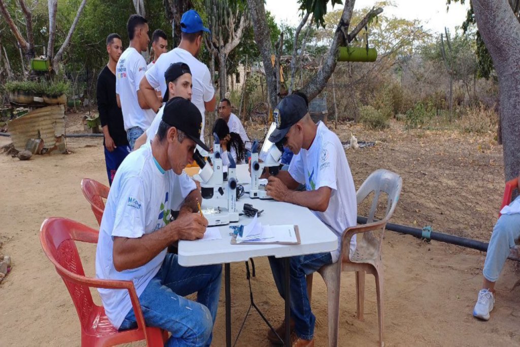 Lara | Analizan importancia de las abejas meliponas para el equilibrio ecológico