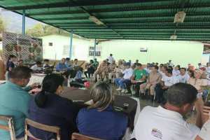 Lee más sobre el artículo Mincyt entrega 2 mil plántulas de café biotizadas a productores barineses