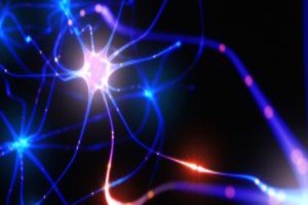 Científicos revelan conexión entre la genética y el comportamiento social en autismo