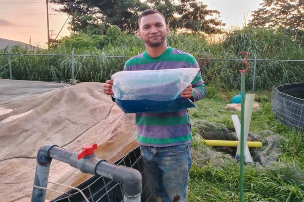 Fundación Ciepe cuenta con tres mil nuevos alevines de coporo para fortalecer investigación acuícola