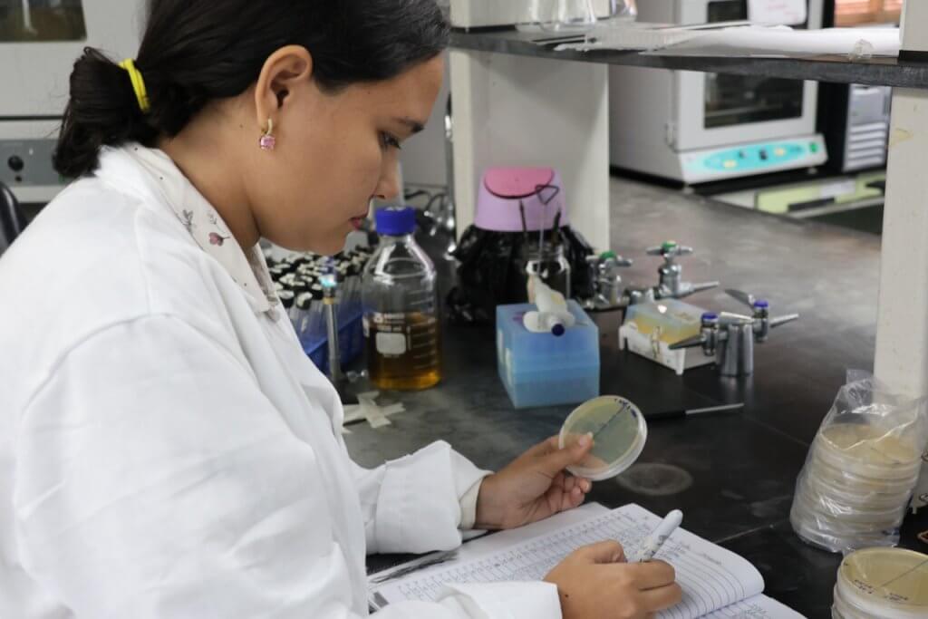 En el IDEA Investigadores estudian bacterias del Cepario para diseñar soluciones ante desafíos ambientales