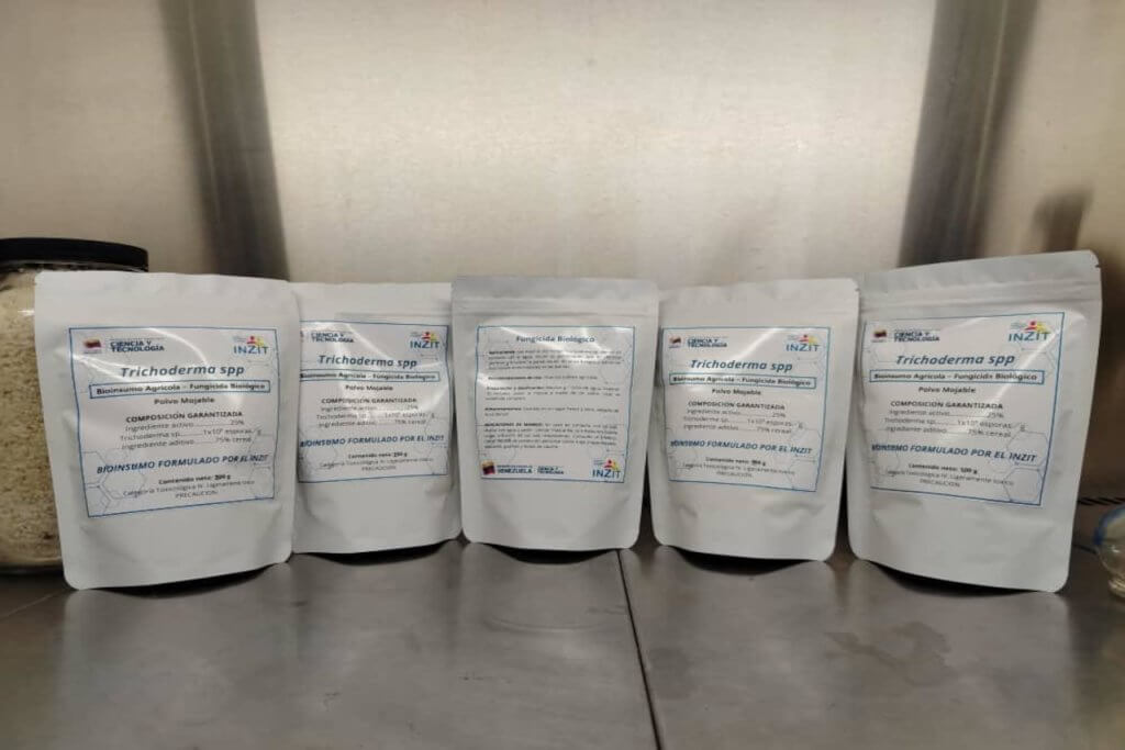 Investigadores del Inzit realizan protocolo de elaboración y aplicación de bioinsumo para promover prácticas agroecológicas