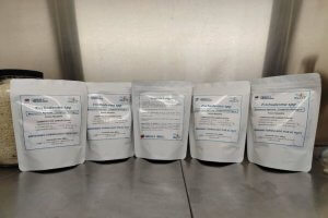 Lee más sobre el artículo Investigadores del Inzit realizan protocolo de elaboración y aplicación de bioinsumo para promover prácticas agroecológicas