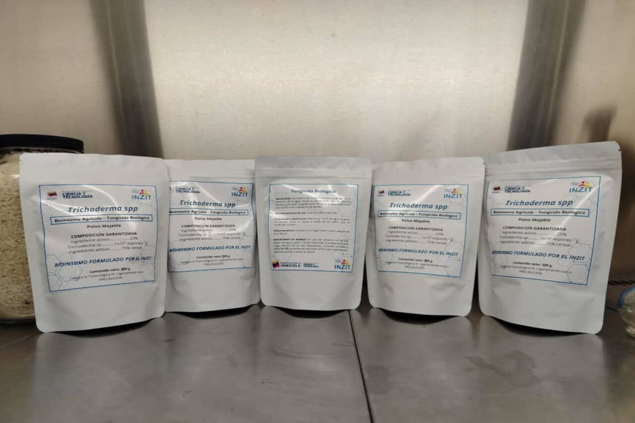 En este momento estás viendo Investigadores del Inzit realizan protocolo de elaboración y aplicación de bioinsumo para promover prácticas agroecológicas