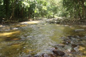 Lee más sobre el artículo Presentan estudio sobre preservación de los ríos costeros del centro norte de Venezuela