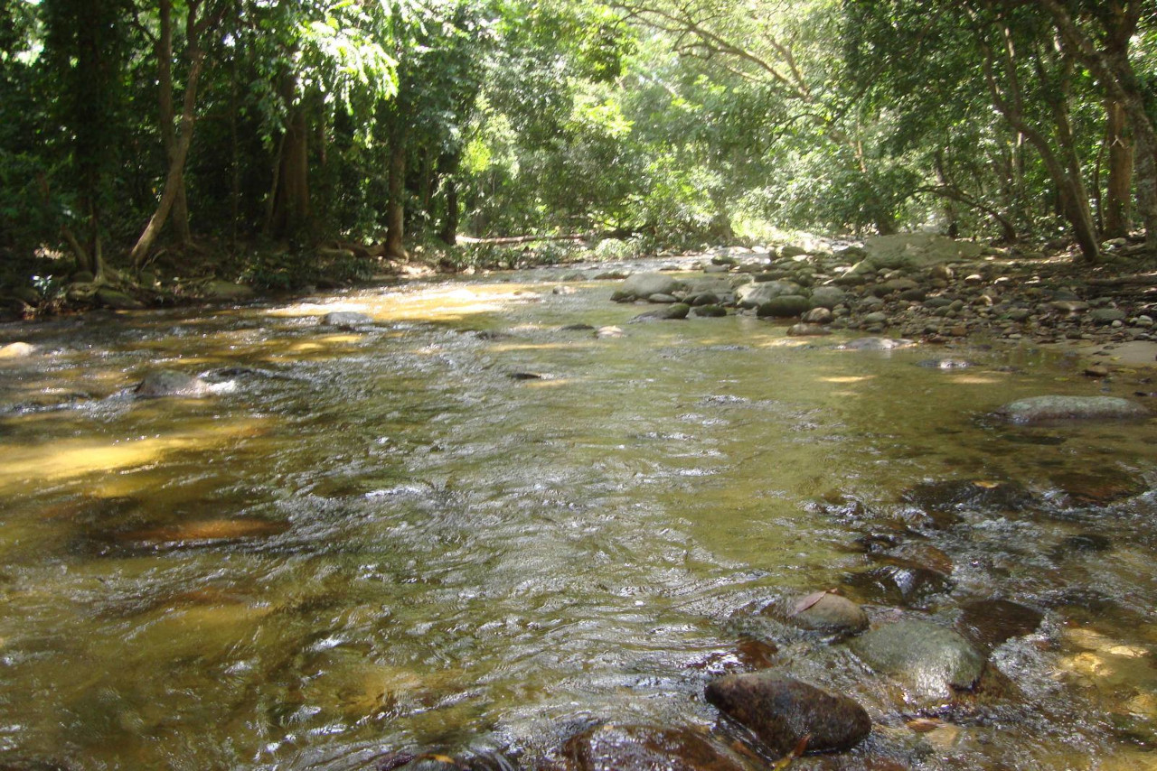 Lee más sobre el artículo Presentan estudio sobre preservación de los ríos costeros del centro norte de Venezuela