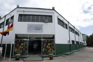Lee más sobre el artículo Centro Nacional del Cacao celebra primer aniversario promoviendo la formación productiva en Venezuela