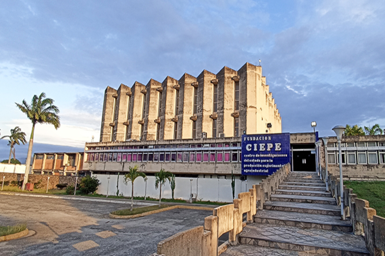 Lee más sobre el artículo Mincyt y Fundación Ciepe invitan a simposio sobre la evolución e impacto de alimentos envasados