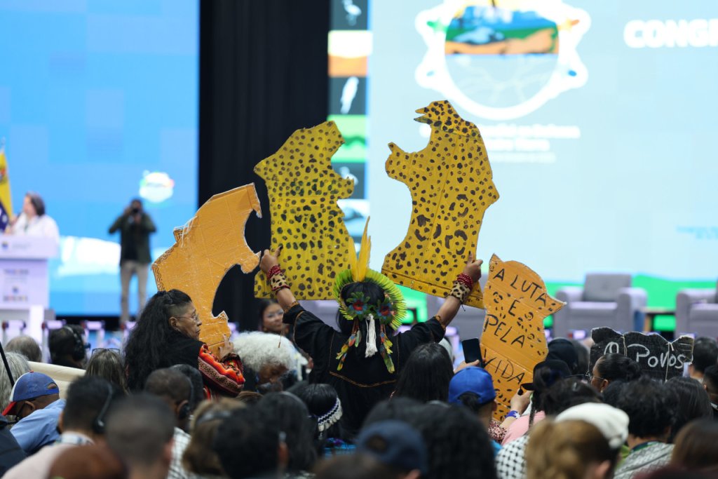 Venezuela refuerza compromiso con la Amazonía y su lucha contra la crisis climática