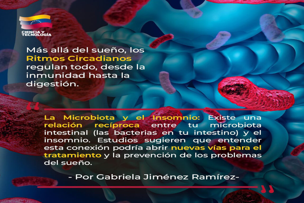 En este momento estás viendo El impacto de los ritmos circadianos en la salud humana
