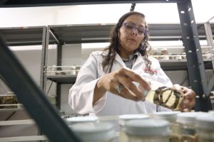 Lee más sobre el artículo Yoliana Añanguren: la biología como pasión y estilo de vida