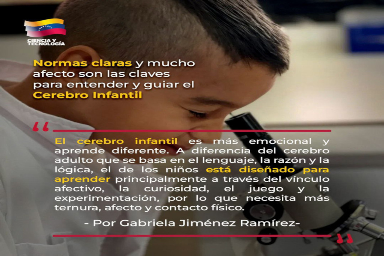 Lee más sobre el artículo El cerebro de los niños