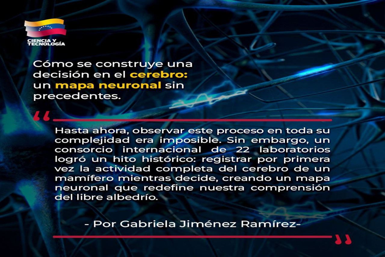 Lee más sobre el artículo Cómo se construye una decisión en el cerebro: un mapa neuronal sin precedentes.
