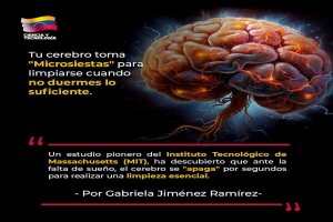 Lee más sobre el artículo Tu cerebro toma «microsiestas» para limpiarse cuando no duermes lo suficiente