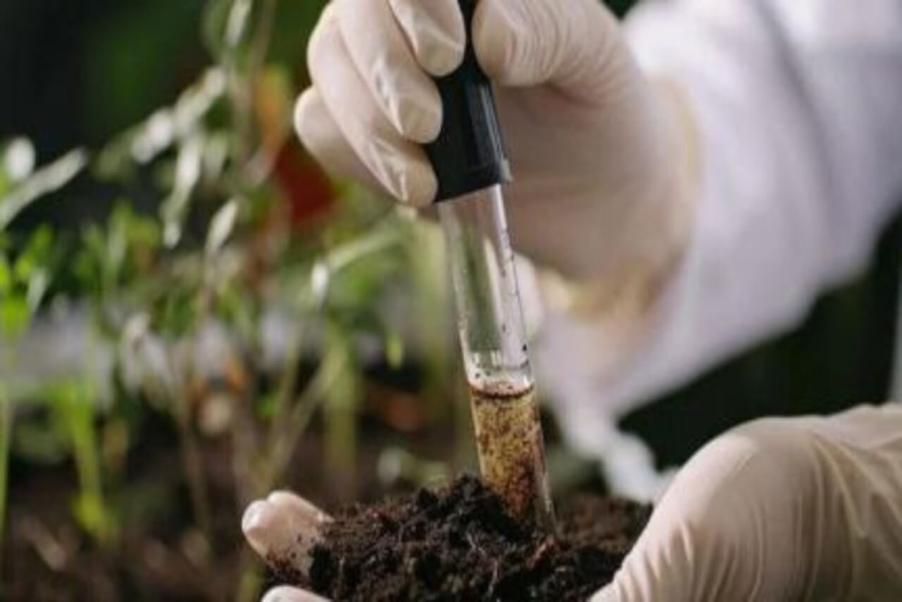 Lee más sobre el artículo Impulsan biorremediación como solución ecológica para suelos contaminados