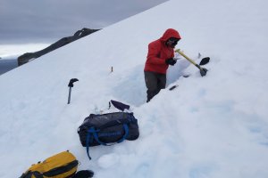 Lee más sobre el artículo Venezuela participa en destacada contribución al conocimiento antártico