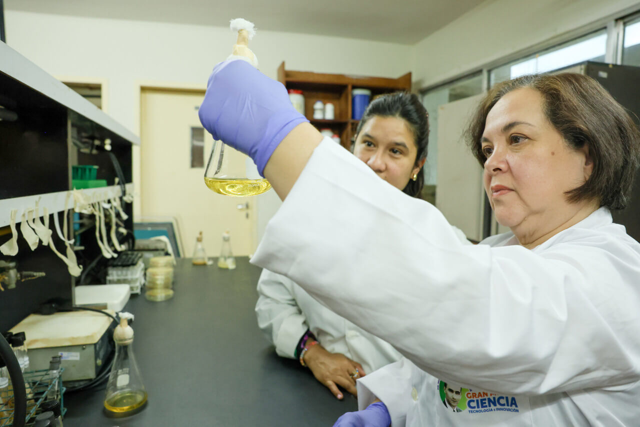 Lee más sobre el artículo Carmen Rivas transforma residuos en soluciones biotecnológicas a través de proyecto desarrollado en el IVIC y financiado por la LOCTI