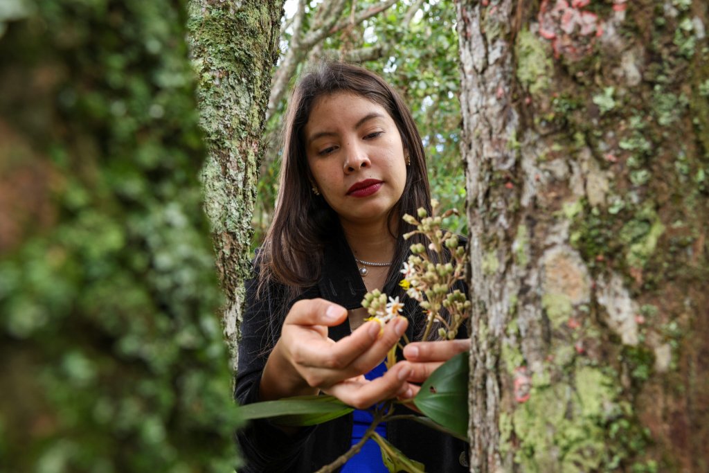 Daniela Canelón: guardiana de la flora venezolana