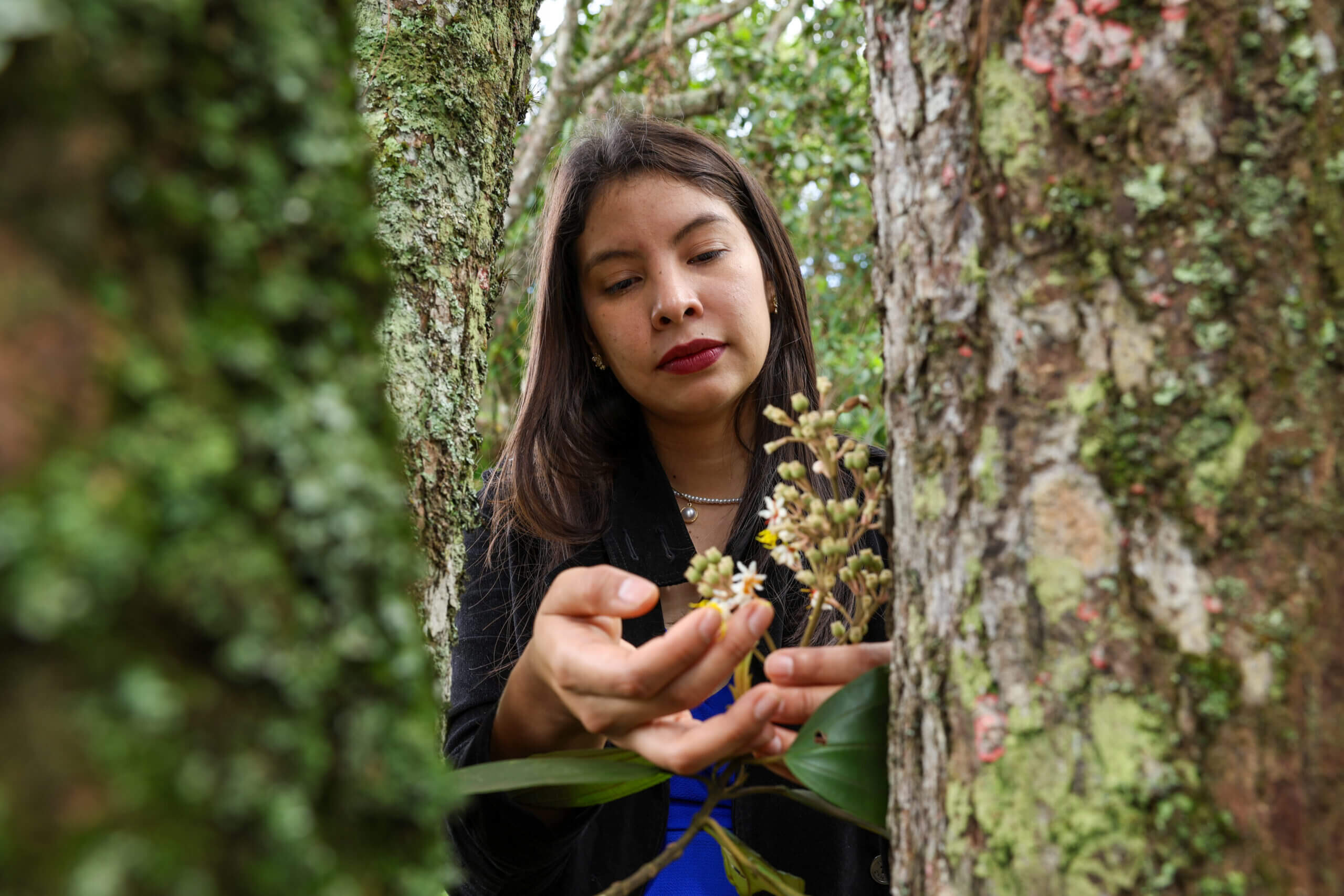 Lee más sobre el artículo Daniela Canelón: guardiana de la flora venezolana