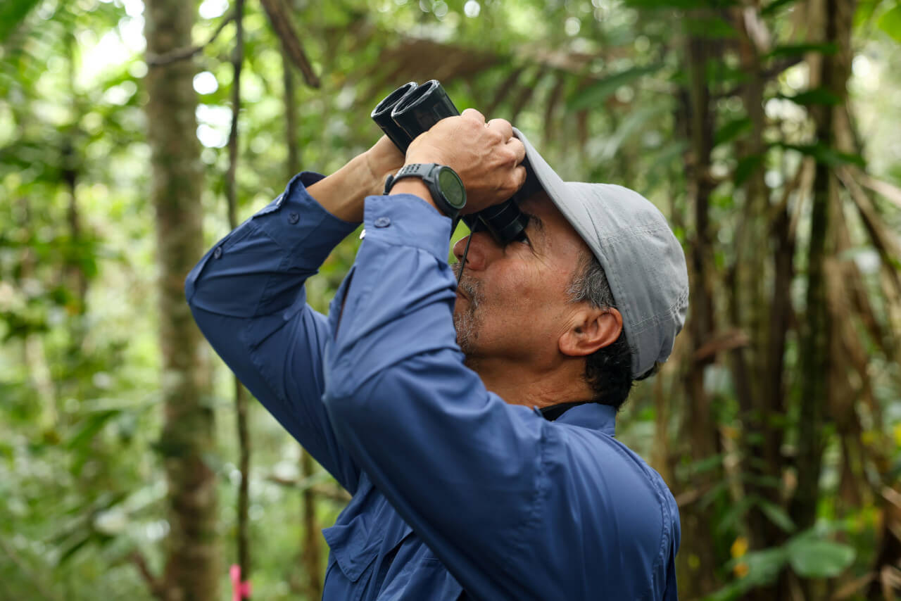 Lee más sobre el artículo Investigadores venezolanos ejecutan proyecto para el resguardo de la palma Ceroxylon
