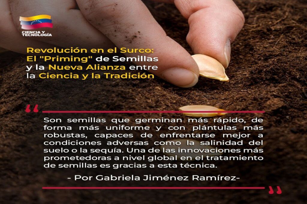 Revolución en el surco: El «Priming» de semillas y la nueva alianza entre la ciencia y la tradición.