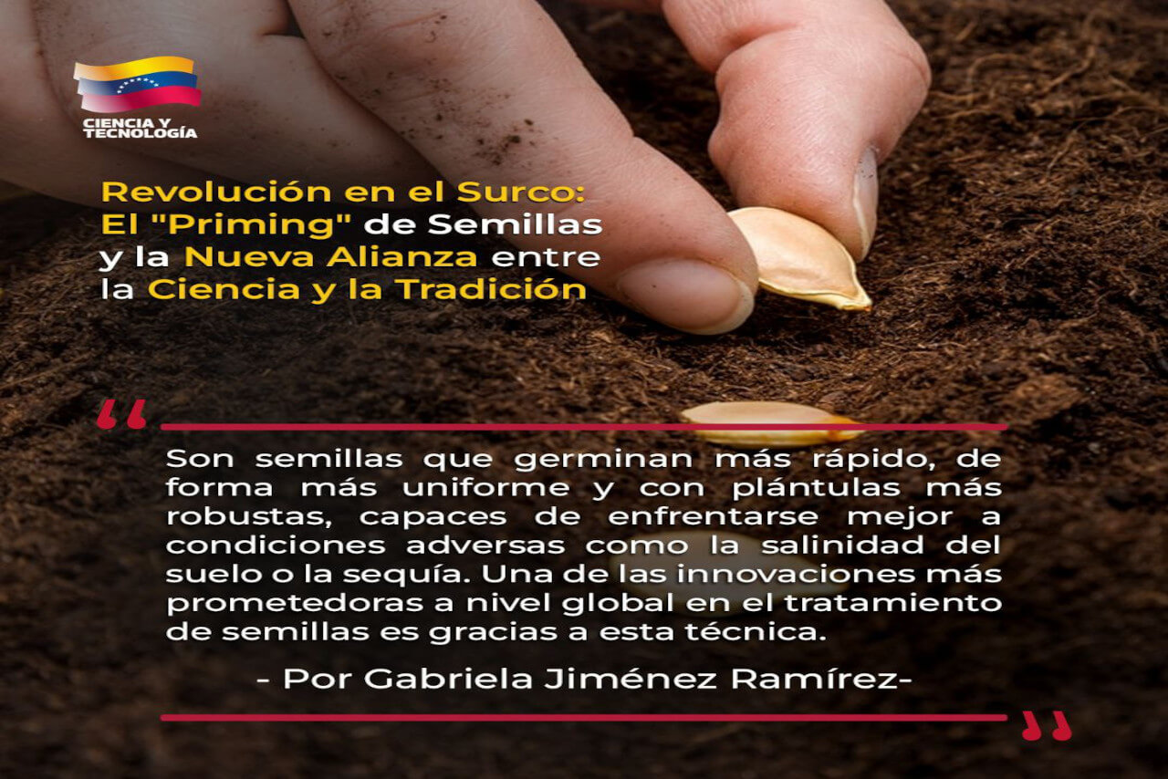 Lee más sobre el artículo Revolución en el surco: El «Priming» de semillas y la nueva alianza entre la ciencia y la tradición.