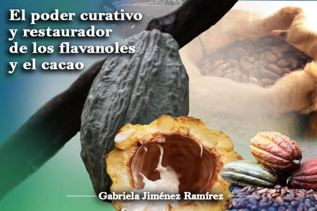 El poder curativo y restaurador de los flavanoles y el cacao