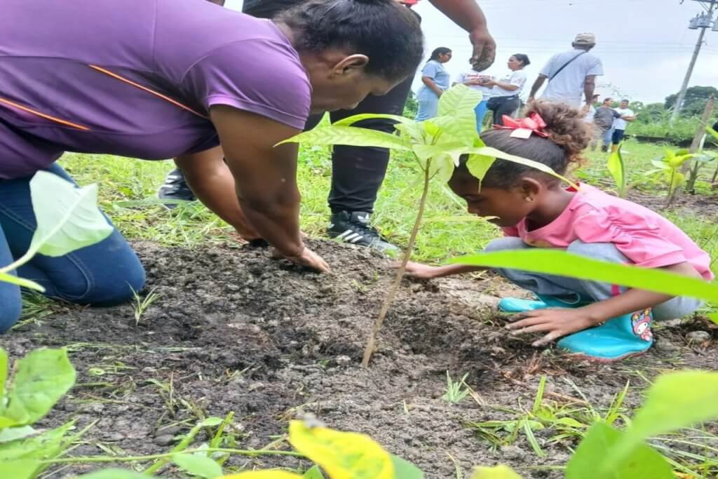 Productoras del estado Miranda impulsan soberanía científica y agrícola con cacao