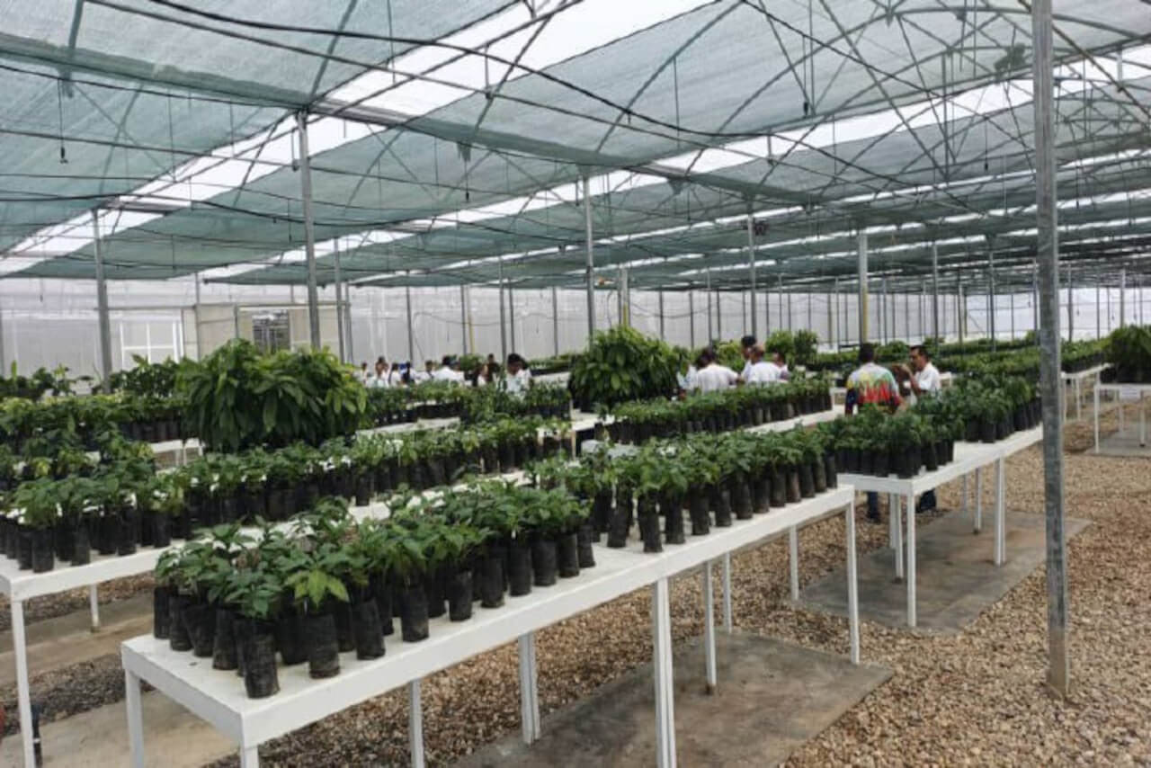 Lee más sobre el artículo ACAV incorpora bioinsumos para mejorar productividad agrícola nacional