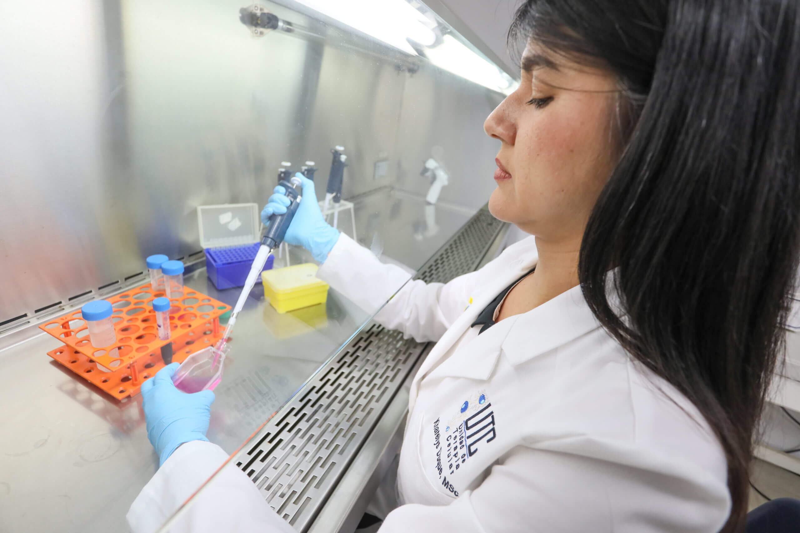 Lee más sobre el artículo Venezuela lidera investigaciones microambientes de células madre hematopoyéticas en la piel