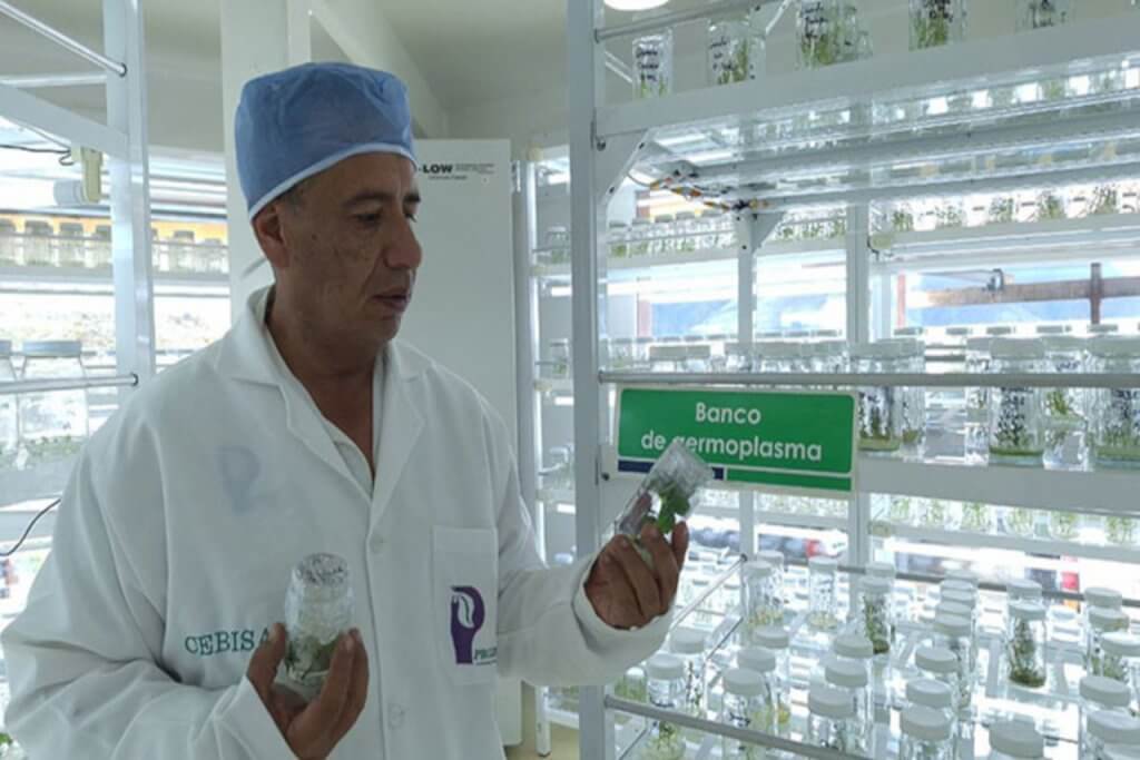 Unesco promueve uso de la ciencia para el desarrollo sostenible frente a los desafíos globales