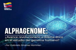 Lee más sobre el artículo AlphaGenome: ¿Avance revolucionario o dilema ético en el estudio del genoma humano?