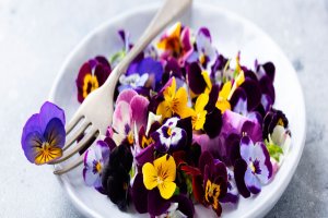 Lee más sobre el artículo El retorno a la naturaleza, entre azules y verdes, conectamos con la vida