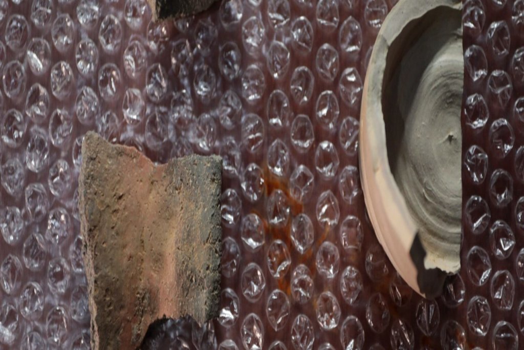 Experta del IVIC resalta importancia de la arqueología para reconstruir la identidad histórica del país