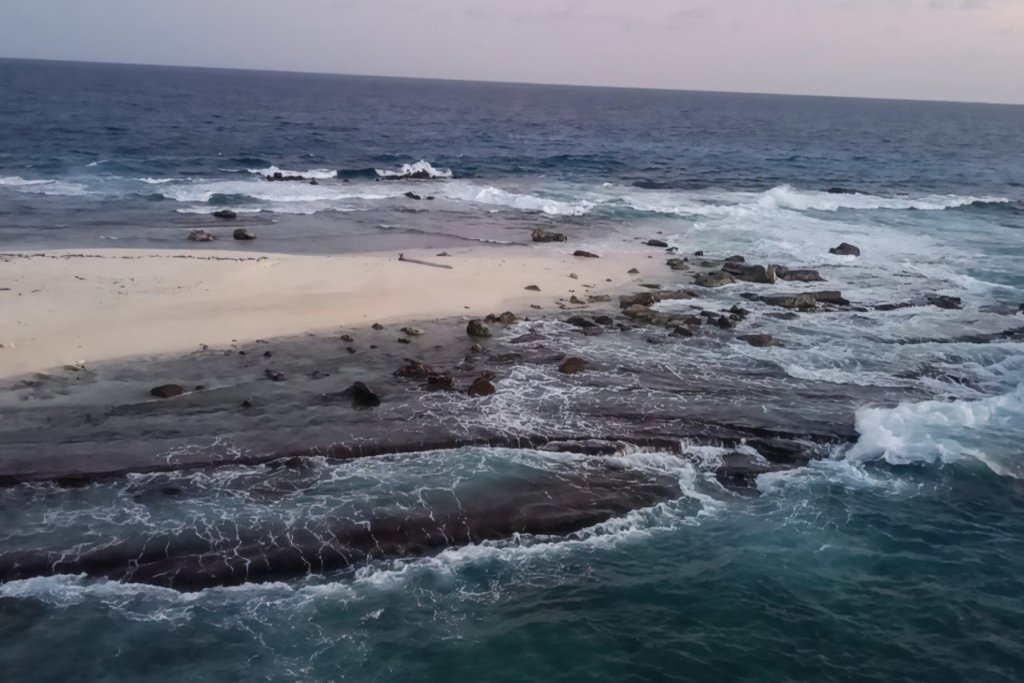 Fortalecen preservación ambiental de Isla de Aves en IV Jornada de Investigación Científica 2026