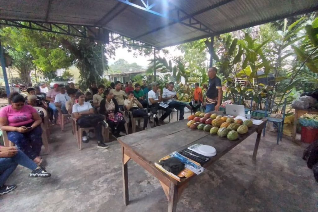 Barinas | Mincyt fortalece capacidades científicas de productores para el mejoramiento genético del cacao