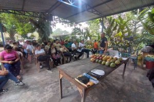 Lee más sobre el artículo Barinas | Mincyt fortalece capacidades científicas de productores para el mejoramiento genético del cacao